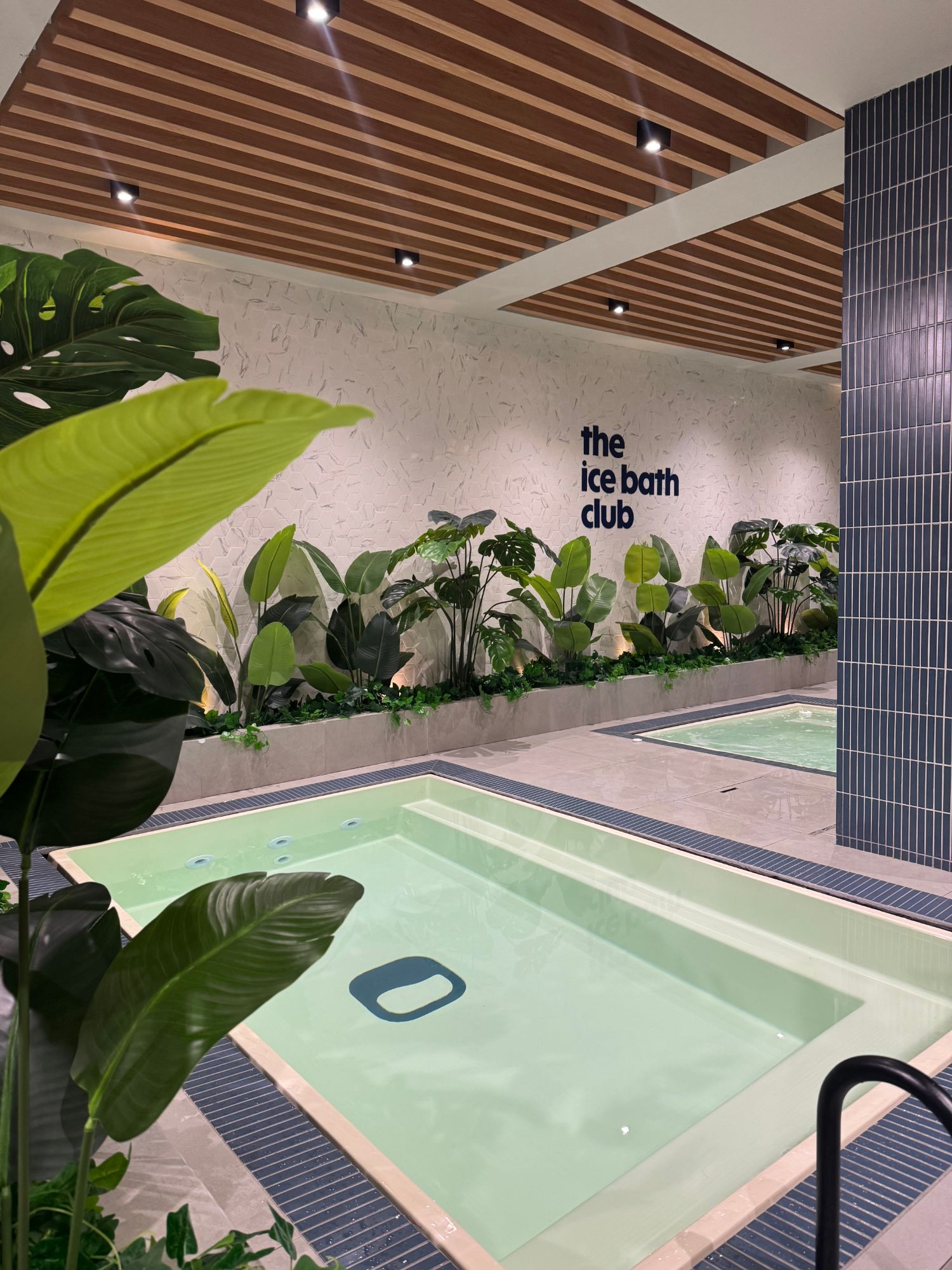 Signage The Ice Bath Club dan kolam cold plunge, Jakarta